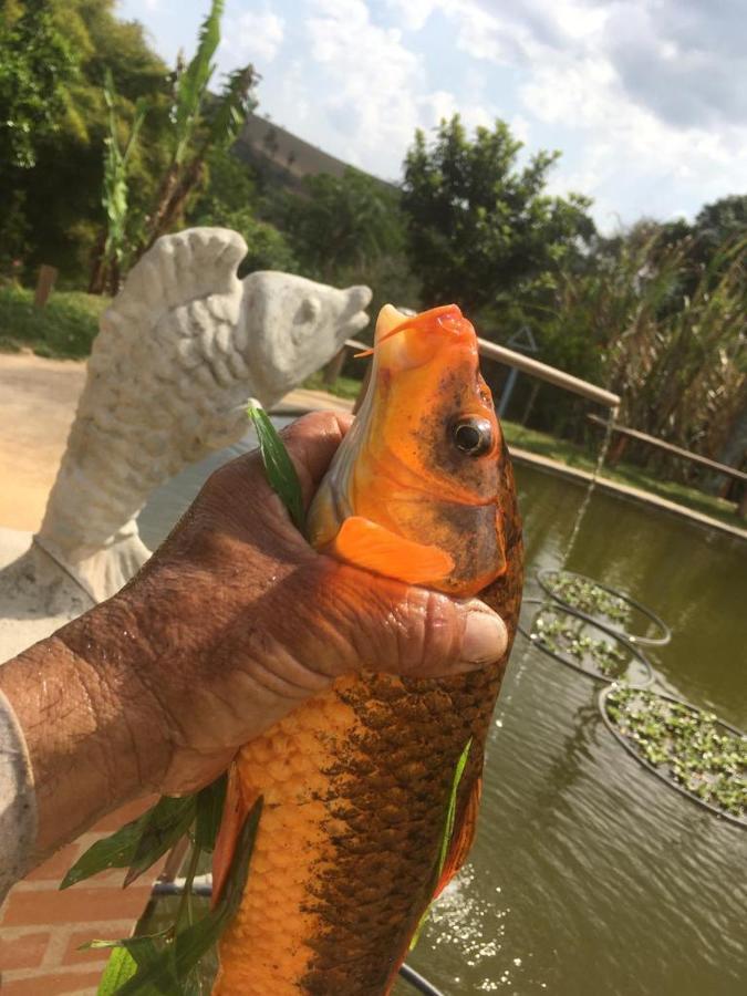 Estalagem Sitio Colibri Cunha